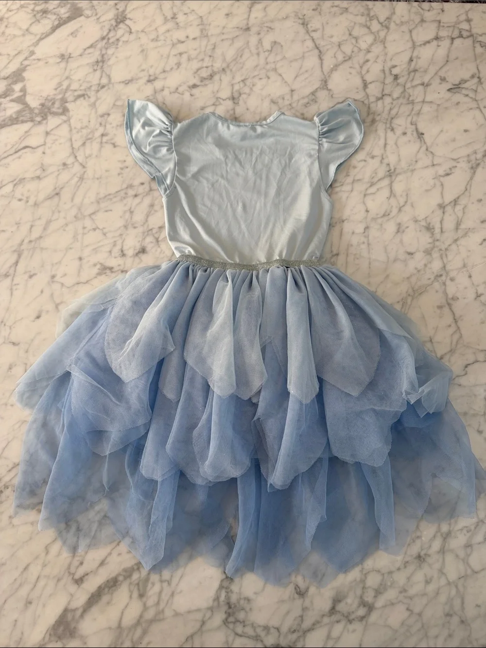 Elsa Anna Frozen Dress Sz 6T Tulle Flutter Sleeve